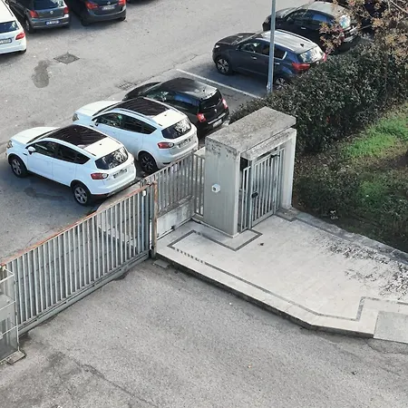 Skeggi Space Bari